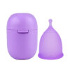 Ovuoke Hygienic Menstrual Cup (Medium, Purple)